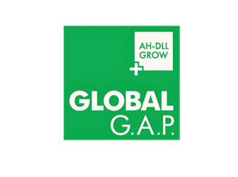 csm_AH_DLL_GROW_17402fb3cf-e1776683520608